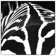 thumbnail image 2 of Van Swearingen, Debra 20x20 Black Ornate Wood Framed with Double Matting Museum Art Print Titled - Zebra V, 2 of 4