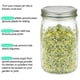 thumbnail image 5 of Stainless steel sprouting jar strainer lid - 2 in 1 Superb, 5 of 5