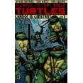 thumbnail image 3 of Teenage Mutant Ninja Turtles Volume 1: Change is Constant, 3 of 4