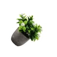 thumbnail image 2 of Advancent Árbol artificial del dinero de la durabilidad duradera verde en aspecto realista respetuoso del medio ambiente del pote Decoración nuevo aliento de bebé blanco, 2 of 6