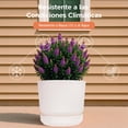 thumbnail image 4 of Set de 2 Macetas Cilíndricas Elly Decor 30 cm con Auto-Riego Blanco, 4 of 7
