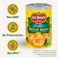thumbnail image 4 of (2 pack) Del Monte Lite Apricot Halves, Canned Fruit, 15 oz Can, 4 of 7