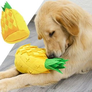 Pineapple Shaped Dog Chew Toy With Snack Holes – Royal Pets USA