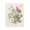 Vintage Wildflower Bouquet Cluster, variant on Stupell Industries Shabby Chic Pink Daisies Close Up Black Floating Frame Canvas Art, 17 x 21, by Franklyn Gregory