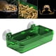 thumbnail image 5 of Ventosa para es, plato de alimentación, cuenco de agua, suministros, contenedor de gusanos a prueba de , accesorios de alimentación para 65x135x25cm Verde Colco Alimentador de reptiles, 5 of 8