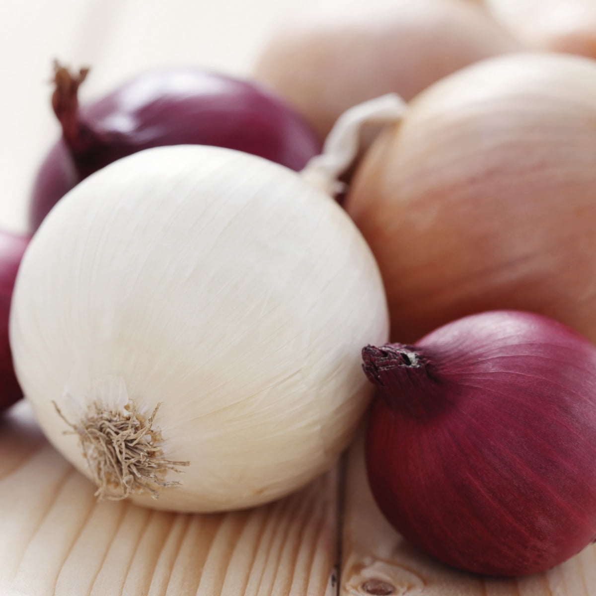 Van Zyverden Fresh Crop Onion Blend Set of 250 Bulbs White Full Sun