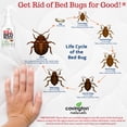 thumbnail image 6 of Covington Naturals Bed Bug Spray for Home, Large, 32 Ounce Quart Starts Working on Contact, 6 of 9