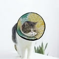 thumbnail image 1 of Pineapples Summer Soft Cat Dog Recovery Collar Adjustable Cat Cone Wound Healing Protective After Surgery for Pet Cone, 1 of 7