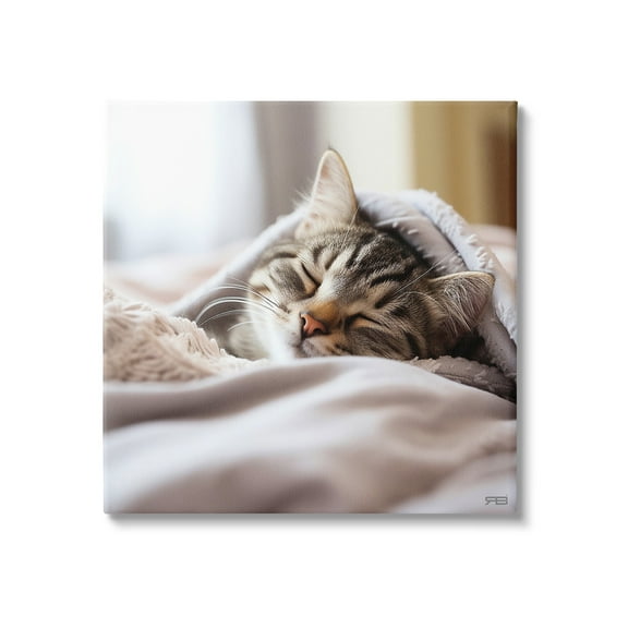 Stupell Industries Cozy Sleeping Kitten Animals & Insects Painting Gallery Wrapped Canvas Art Print Wall Art, 17 x 17