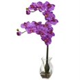 thumbnail image 1 of Phalaenopsis Orchidée avec Arrangement de Vase, 1 of 1