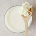 Cultures for Health Milk Kefir Grains DIY Frothy Dairy NonGMO