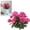 Hot Pink, variant on 1PC Artificial Geraniums Flowers, Silk Geraniums for Outdoors, UV Resistant Rose, Red Artificial Geranium Bush, Faux Flowers Plant for Planter Garden Home Decor, Patio Vase Table Centerpiece
