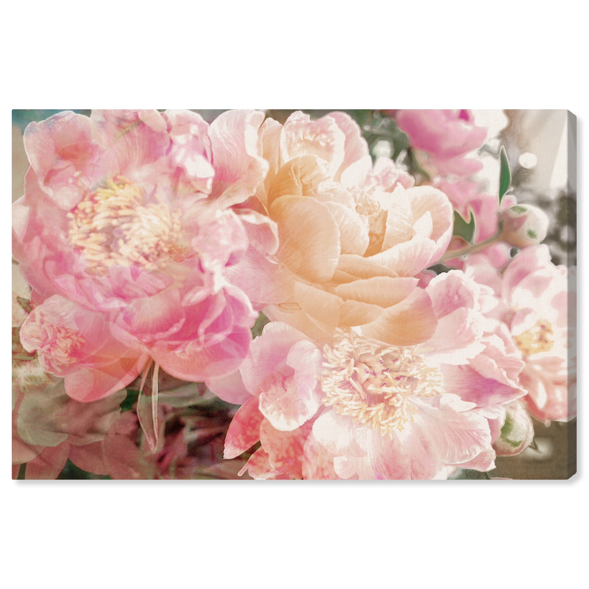 PINK PEONY FLOWERS PAINTING STYLE FLORAL MODERN 3 PANELS CANVAS PRINT WALL ART 