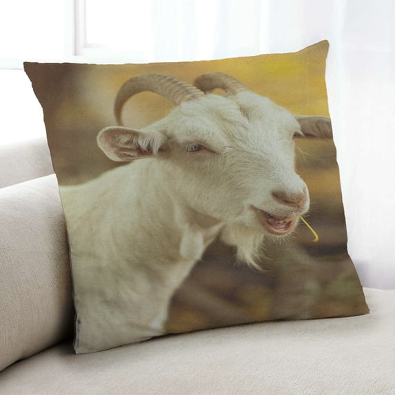 Ahgly Company Animals Goat Indoor Throw Pillow, 18 inch by 18 inch