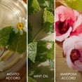 thumbnail image 3 of Perfume Escada Brisa Cubana Edición Limitada Eau de Toilette 50 ml, 3 of 7
