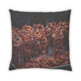 thumbnail image 2 of Ahgly Company Foods Nuts Indoor Throw Pillow, 18 inch by 18 inch, 2 of 6