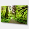 thumbnail image 2 of Chemin de Pied dans la Forêt Tropicale de Séquoias Rouges - Impression sur Toile Paysage, 2 of 3
