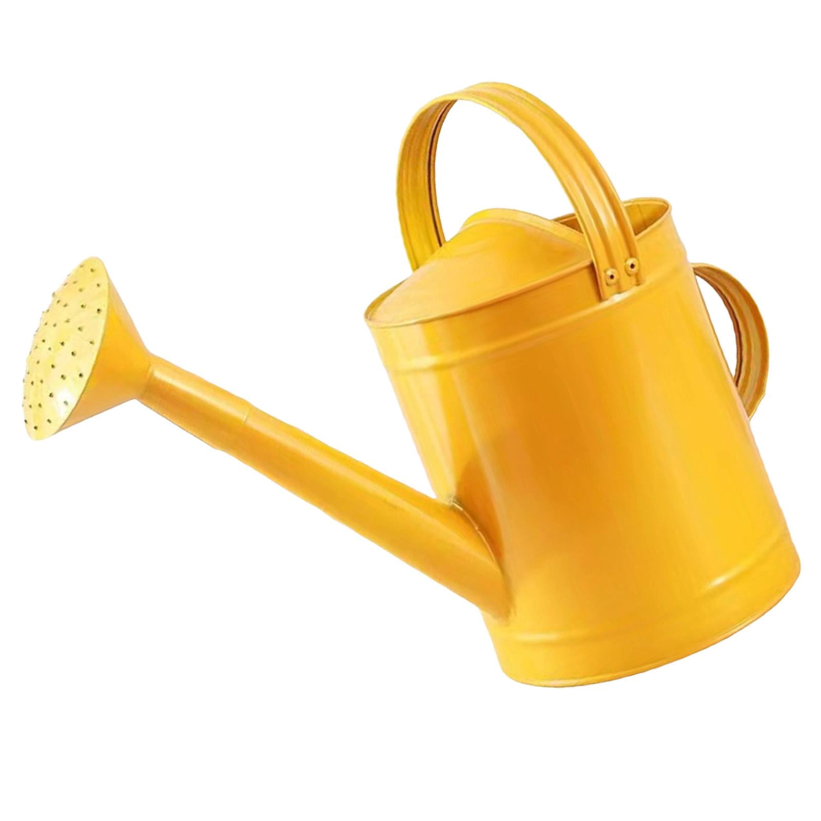 YWMJZEU 4L Watering Can with Handle, Leak, Removable Spout, Garden Tool, Rust-Resistant, golden