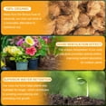 thumbnail image 4 of Organic Coco Coir 2 Pcs Compressed Coconut Coir Bricks Coconut Fiber Husk Substrate Mulch Coconut B, 4 of 6