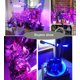 thumbnail image 5 of Abrazadera de lámpara de planta LED con interruptor de temporizador automático de 24 horas, regulable WD.WDQZL Cocina, 5 of 5