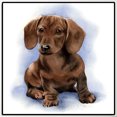 thumbnail image 3 of Resina Con Forma Diamante Perro 30x30CM XF002, 3 of 9