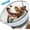 Grey, variant on Upgraded Inflatable Dog Cone Collar with Transparent Anti-Licking Shield, Adjustable Elizabethan Collar for Medium Large Dogs, 2-in-1 Design with Detachable Shield