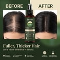 thumbnail image 3 of Sages of the Ages Fermented Rice Water, Rosemary, Keratin, Biotin Hair Growth Spray to Thicken, Strengthen, Hydrate, 4 fl oz, 3 of 7