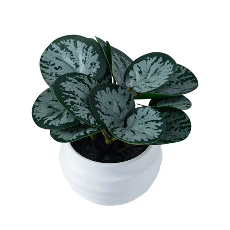 Namzi Fake Plants Artificial Greenery Potted Faux Lifelike Plant for Home Garden Party Decoration-B21