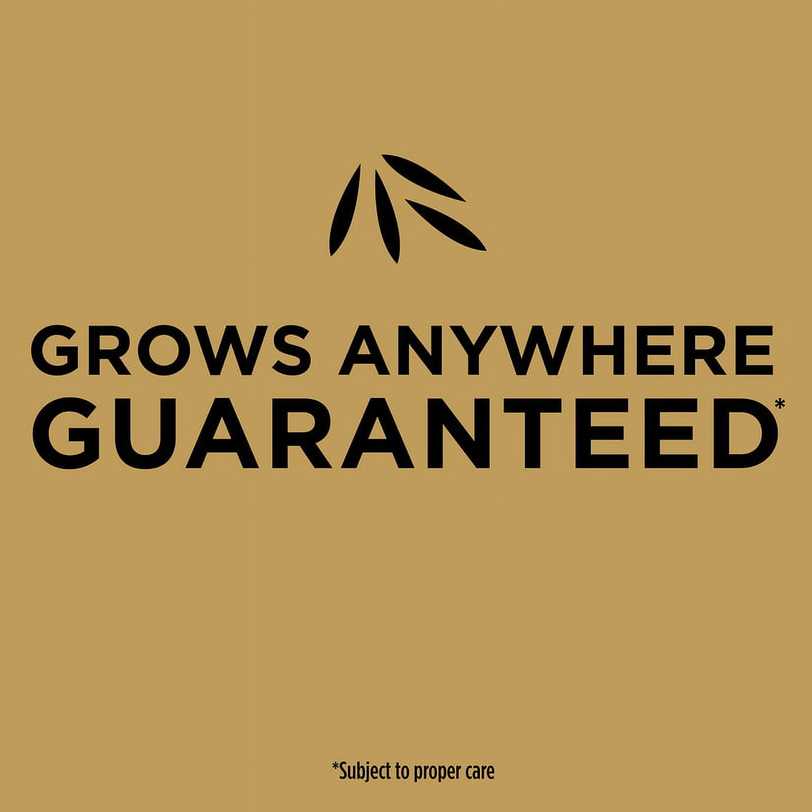 Scotts® EZ Seed® Patch and Repair Sun and Shade, 40 lbs.