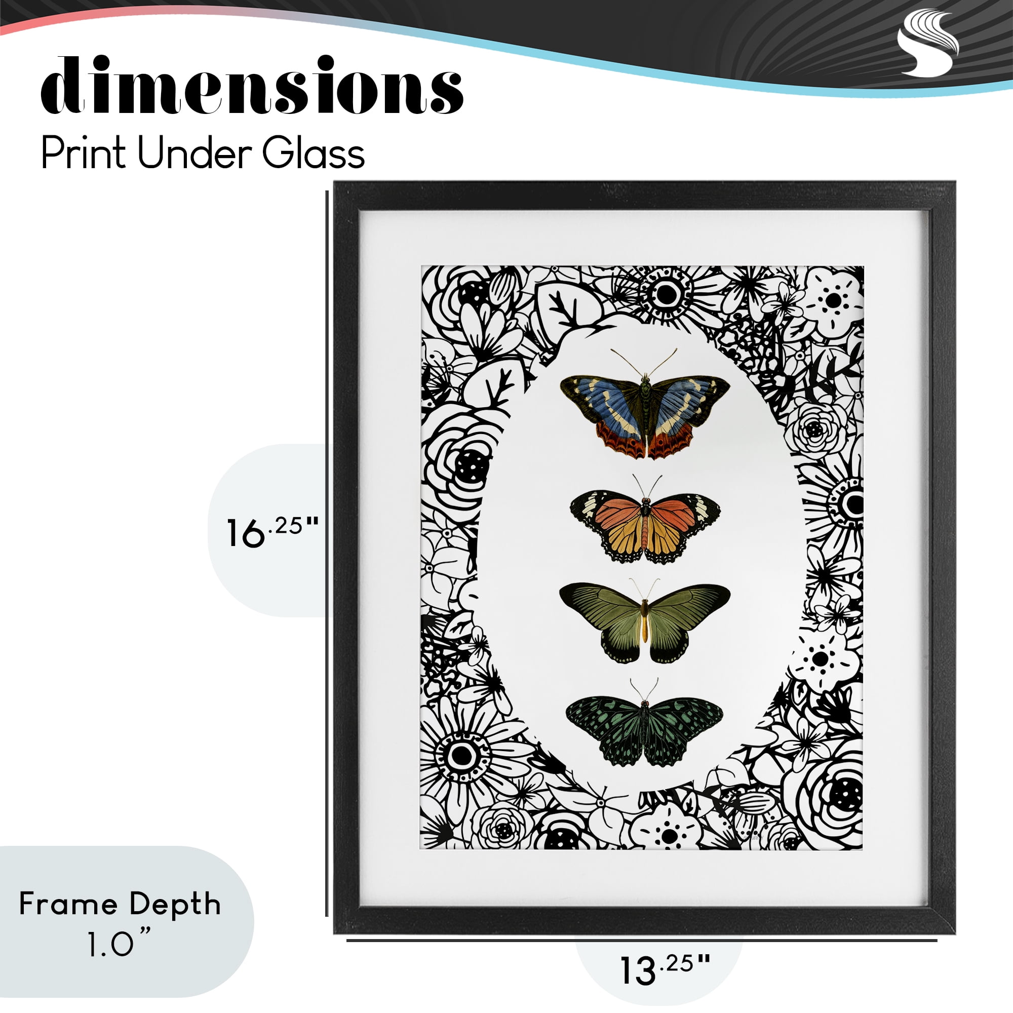 Stupell Industries Floral Border Butterfly Lineup Black Framed Print Under Glass, design by Dan Meneely