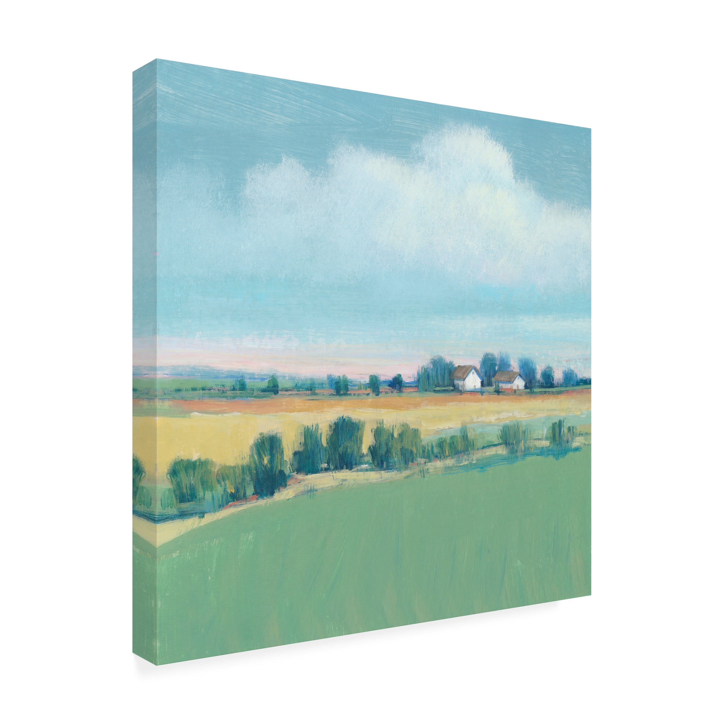 Tim O'Toole 'The Simple Life I' Canvas Art
