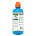 TheraBreath Fresh Breath Mouthwash, Icy Mint, AlcoholFree, 1 Liter