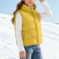 thumbnail image 6 of vokkrv Kids Solid Color Zip Up Sleeveless Jacket, Wind Resistant Warm Casual Outerwear, Fashion Daily Coat for Boys Girls Winter Outdoor Activities Yellow 3-4 Years, 6 of 7