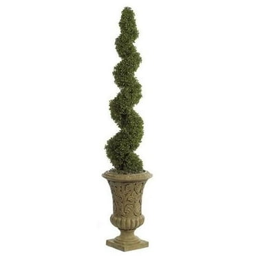 5 Foot Spiral Boxwood Topiary - Green