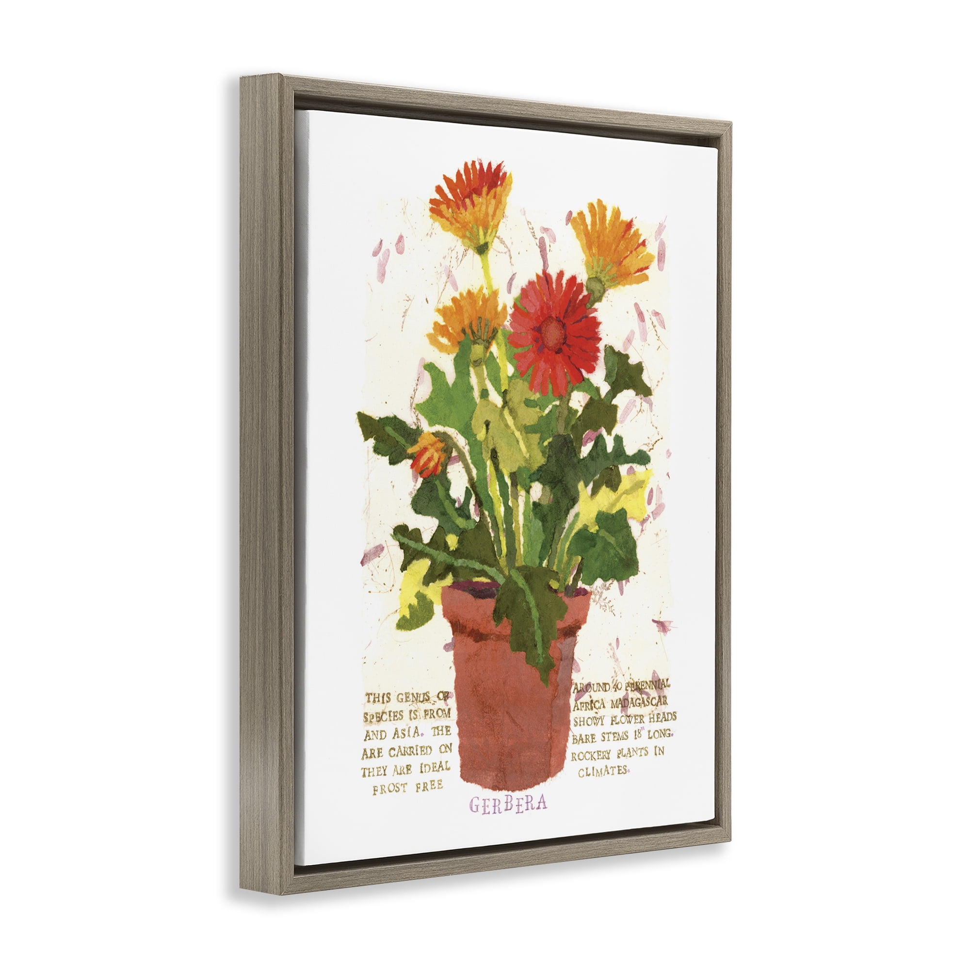 Stupell Industries Potted Gerbera Daisies Botanical & Floral Painting Brown Floater Framed Art Print Wall Art, 17 x 21