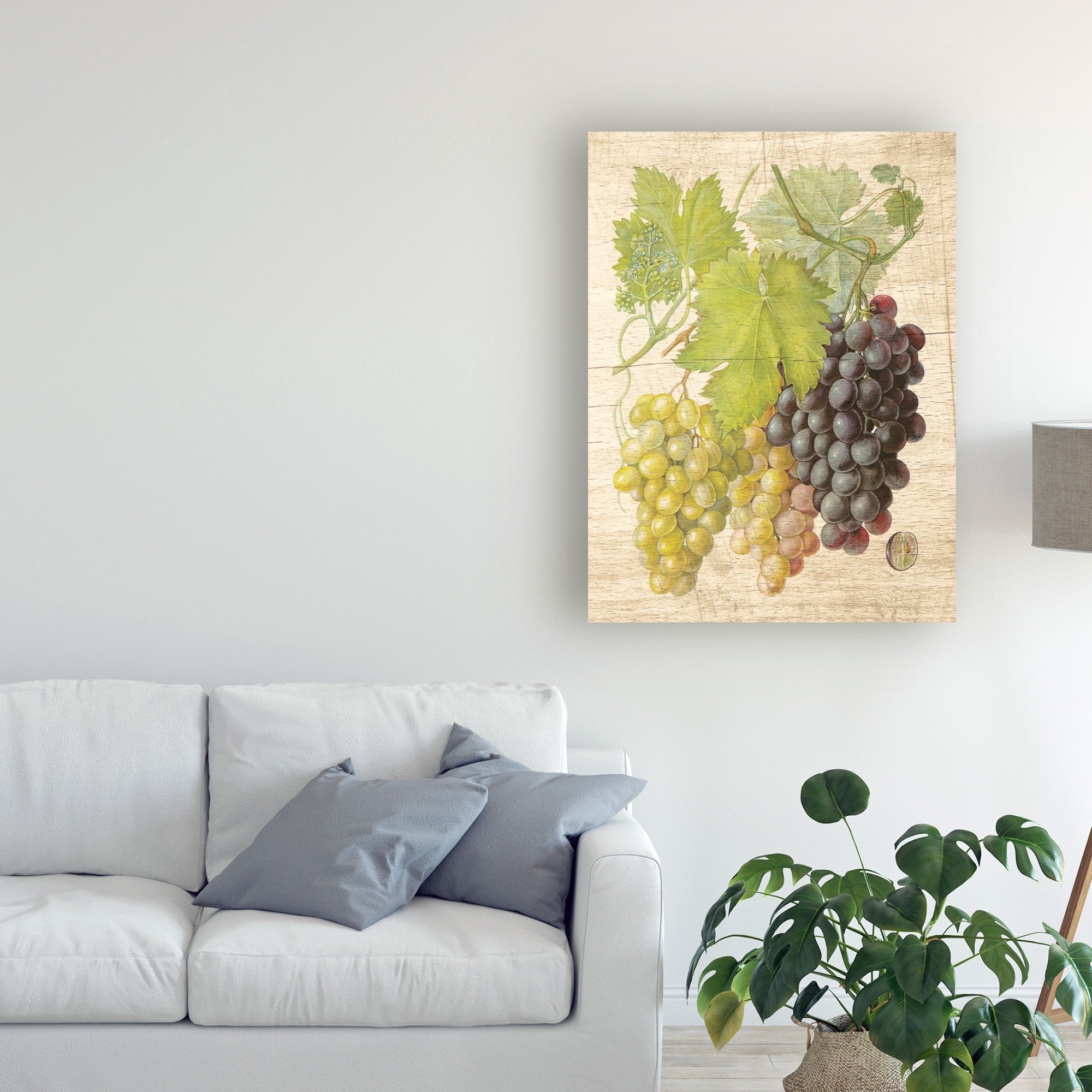 Trademark Fine Art 'Grapevine I' Canvas Art by Nobleworks Inc.