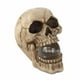 Home Decor Crâne avec Orbe Éclairé – image 1 sur 2