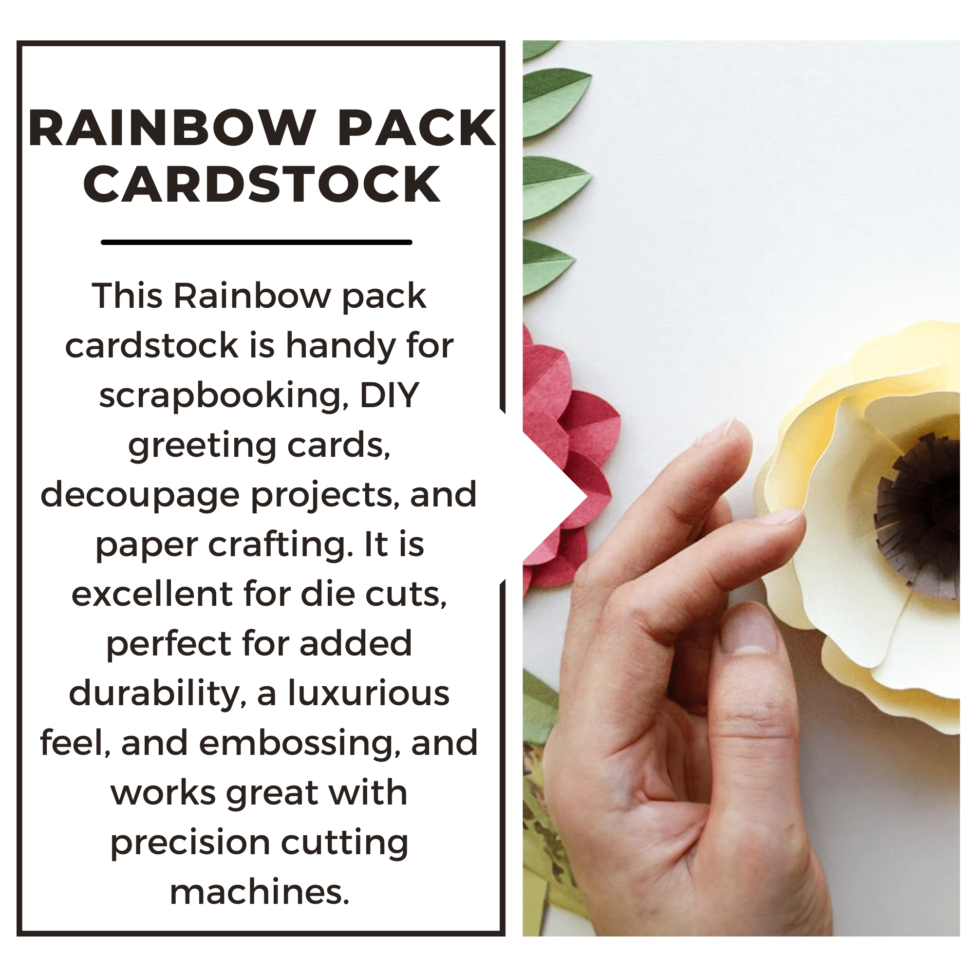 VarietyPk 8.5x11 250pc 65lb Rainbow Cdstk CandyDuo