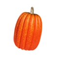 thumbnail image 2 of Calabaza artificial BLESIY decorativa de otoño Altura 21cm, 2 of 8