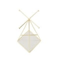 thumbnail image 5 of Umbra Prisma Jewelry Organizer and Necklace Stand, 5 of 17