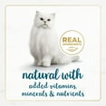 thumbnail image 4 of Purina Fancy Feast Gourmet Naturals Kitten Food, Wet Cat Food, Tuna in Gravy, 3 oz Cans (12 Pack), 4 of 9