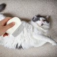 thumbnail image 4 of Peine quitapelusas para gatos, peine de limpieza para mascotas, peine de masaje para aseo, herramientas suaves, 2 uds., 4 of 5