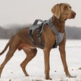 thumbnail image 6 of No Pull Small Medium Large Big Dog Harness Vest Nylon Adjustable Reflective Waterproof Pet Walking Training Harness With Handle, 6 of 8