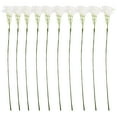 thumbnail image 5 of BERTDOMD 10pcs Highly Simulated Plant Stems Faux Greenery Spray Diy Materials for Bouquet Vase Fillers, 5 of 6