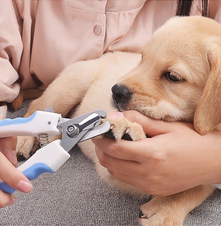 dog nail clippers with light