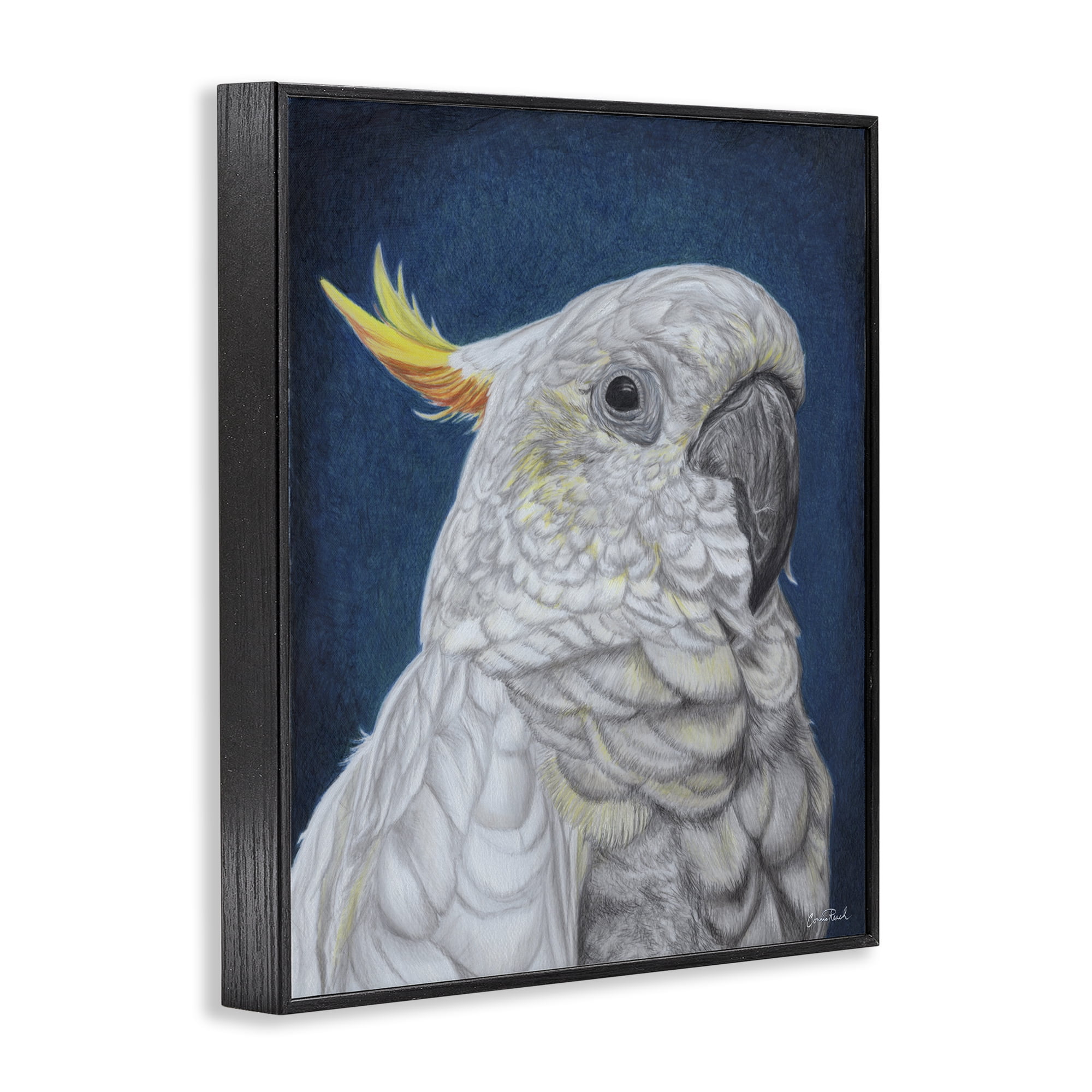 Stupell Industries Traditional Cockatoo Visage Animals & Insects Painting Black Framed Art Print Wall Art, 11 x 14