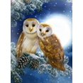 thumbnail image 1 of HOMFUN-pintura de diamante 5D DIY "búho de nieve animal", bordado de diamantes de imitación, decoración de punto de cruz, 1 of 4