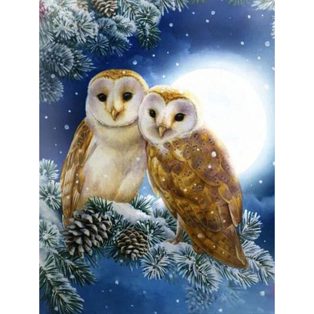 HOMFUN-pintura de diamante 5D DIY "búho de nieve animal", bordado de diamantes de imitación, decoración de punto de cruz