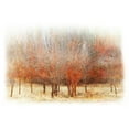 thumbnail image 3 of Vest, Chris 24x17 Black Modern Framed Museum Art Print Titled - Row of Red Trees, 3 of 5