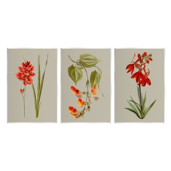 Stupell Industries Woodland Flower Study Botanical & Floral Painting Unframed Art Print Wall Art, 10 x 15, Set of 3